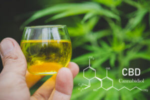 CBD-Infused Drinks