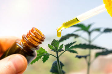 Best CBD Products