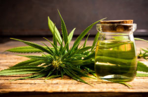 CBD Hemp Oil Benefits